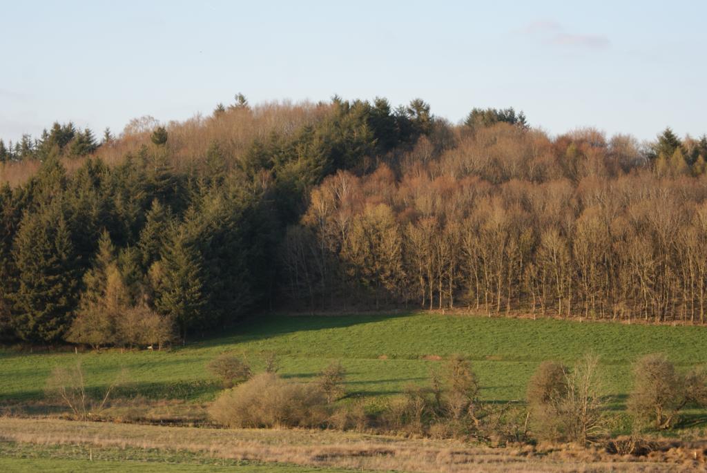 Le Gite De L Ourthe Ortheuville Exterior photo