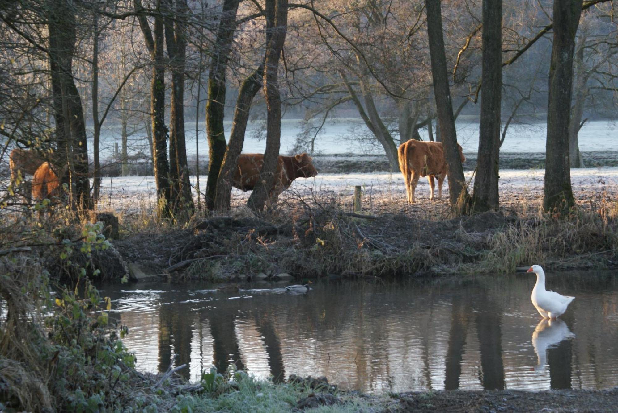 Le Gite De L Ourthe Ortheuville Exterior photo