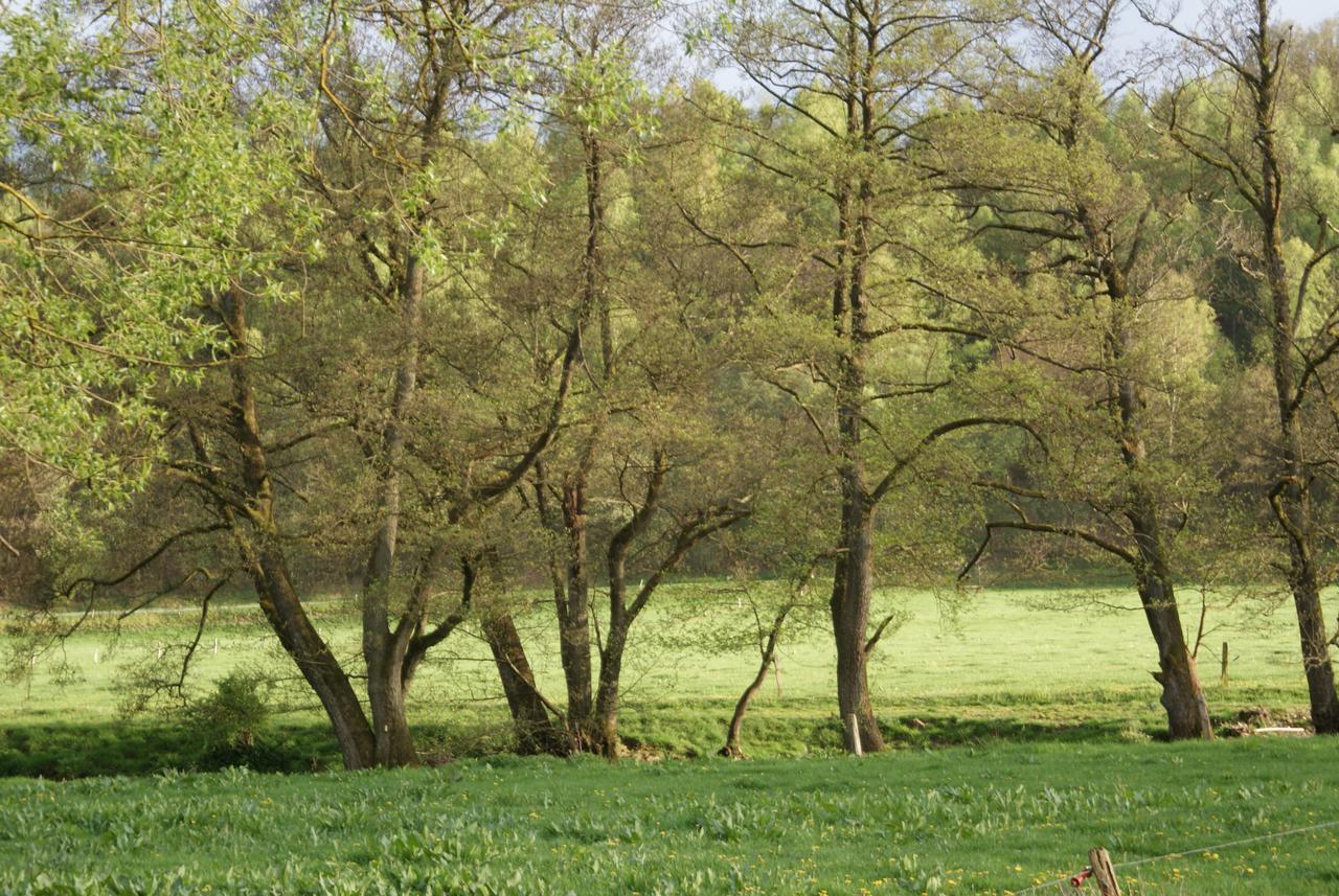 Le Gite De L Ourthe Ortheuville Exterior photo